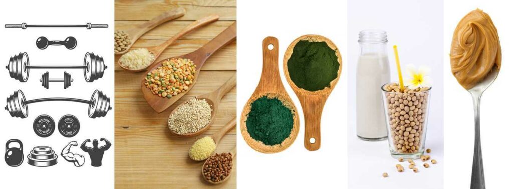 Protein Foods
