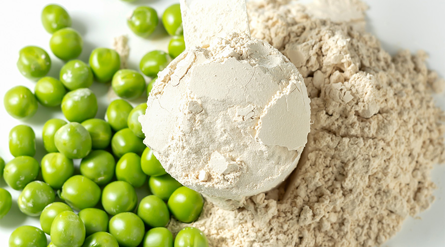 Whey vs Plant-Based Protein