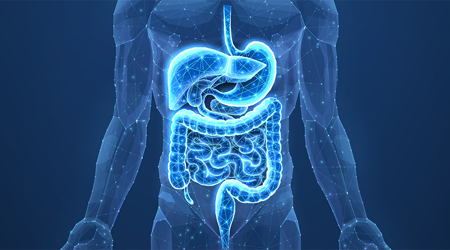 The Link Between Gut Health and Skin