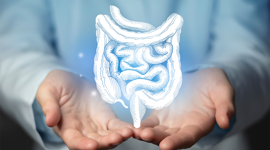Probiotics and Prebiotics: The Gut-Health Connection