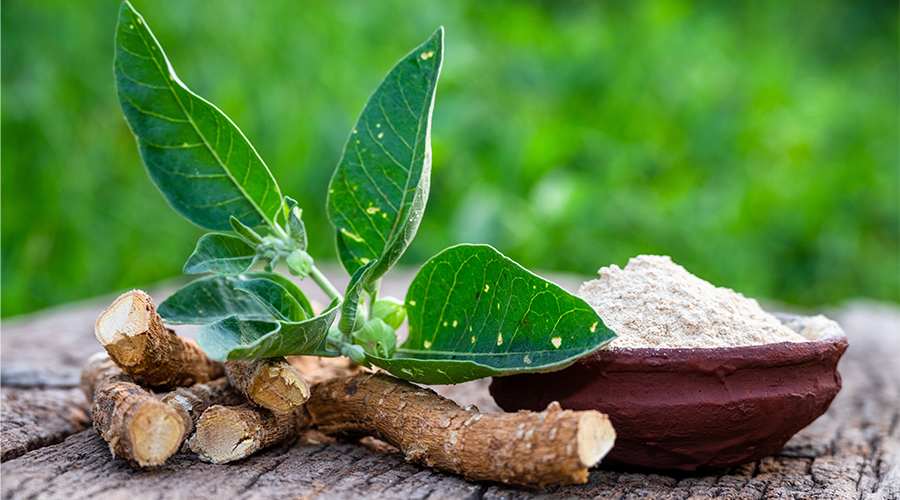 How Ashwagandha Can Improve Your Workout Performance