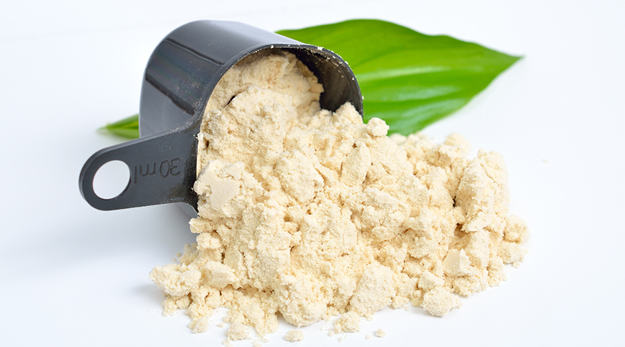 Plant Protein Benefits