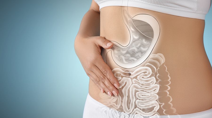 Gut Health Workouts: Yes, Your Fitness Affects Your Gut