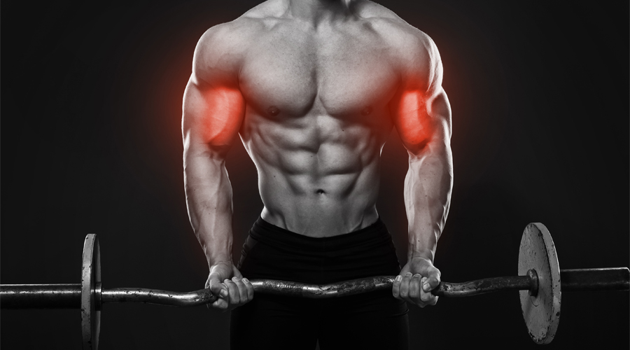 Mind-Muscle Connection 2.0: Training Like a Body–Mind Athlete