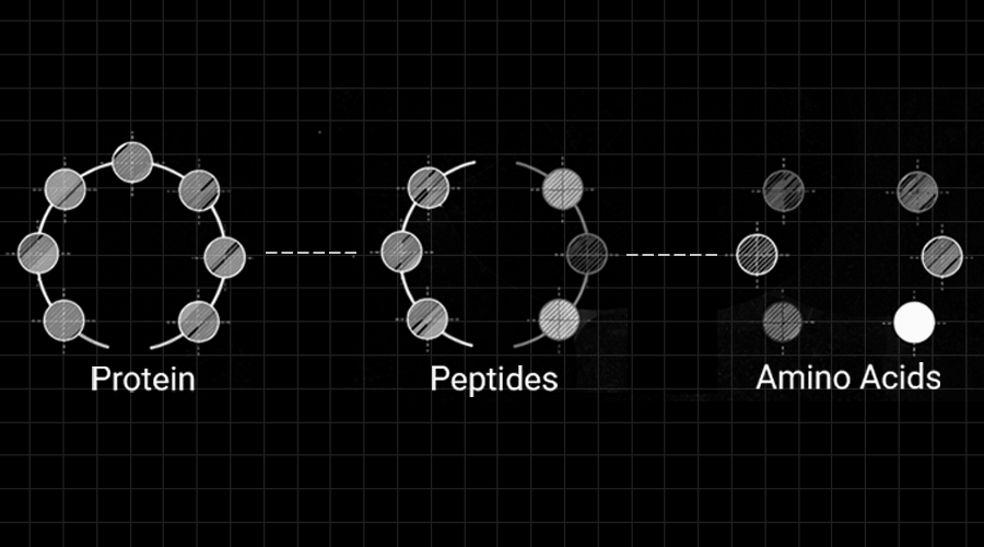 What These Findings Mean