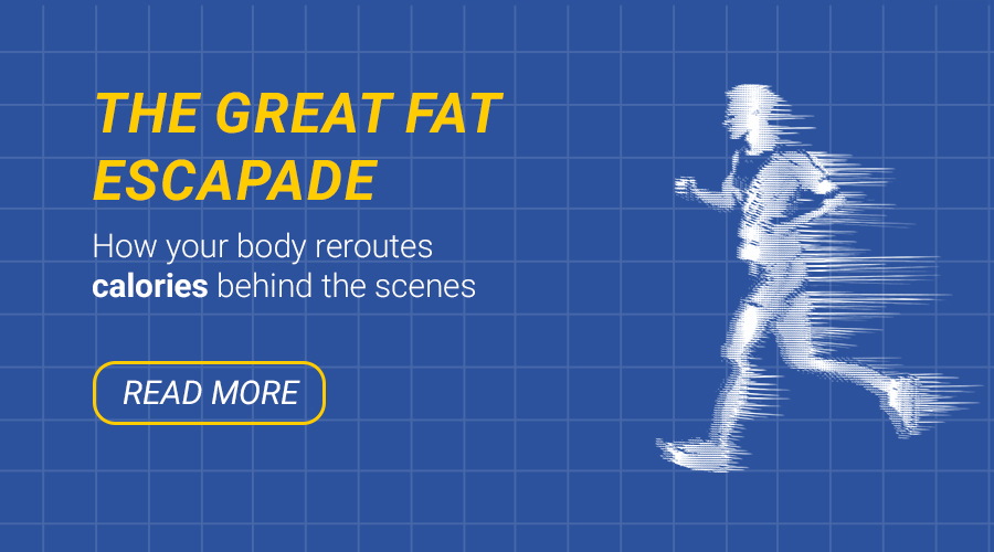 Why You Work Harder and Still Have Fat