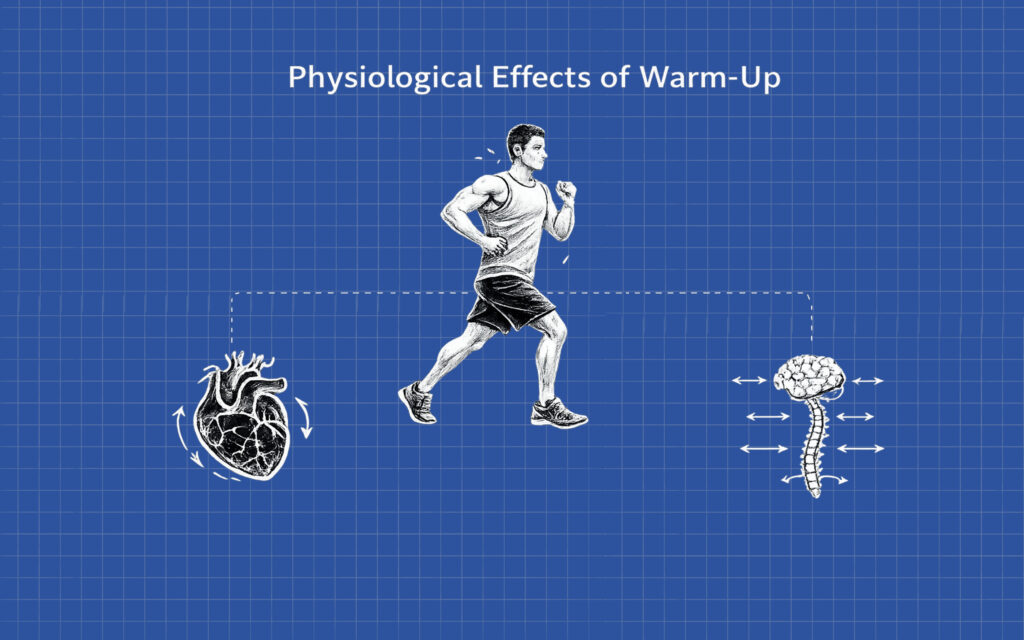 Physiological Effects of Warm up