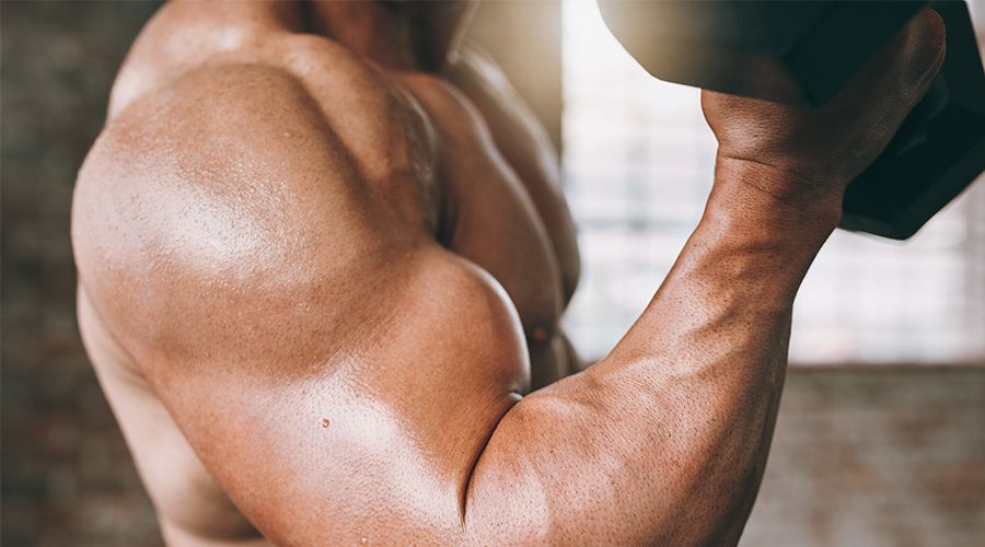 Supplements for Hypertrophy