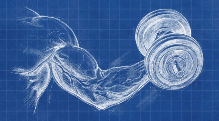 Rapid Post Training Recovery